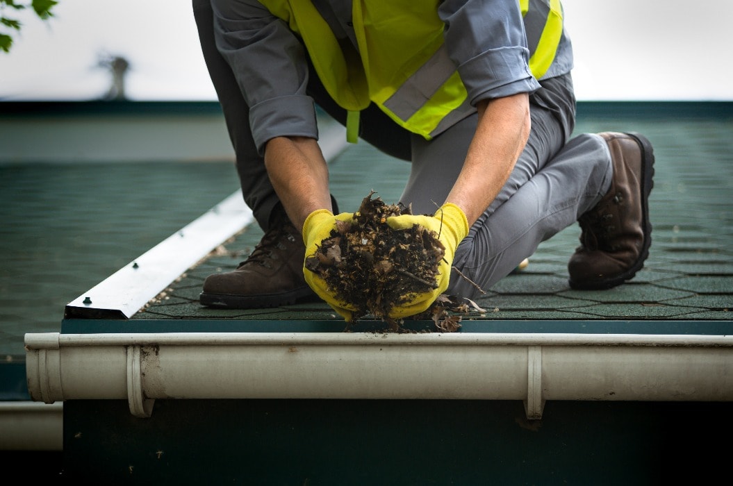 A man worker is cleaning a clogged roof gutter from dirt, debris and fallen leaves to prevent water and let rainwater drain properly.