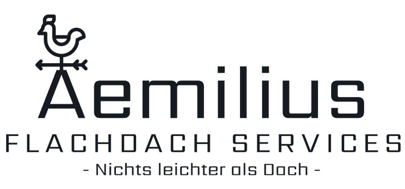 Logo aemilius neu